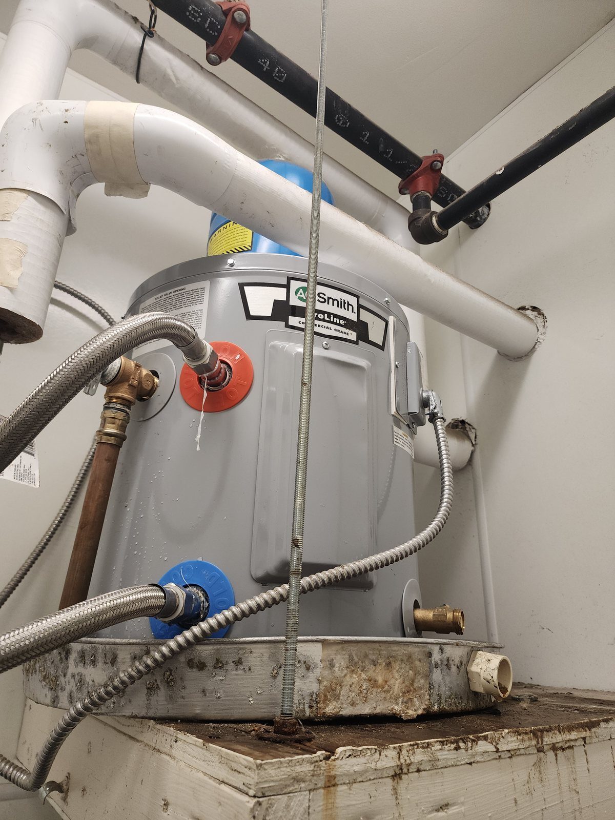 New commercial electric water heater installed with braided supply connections