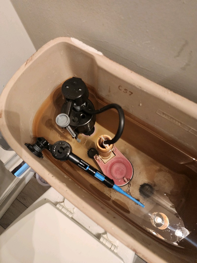 Toilet tank internal components repair fill valve and flapper Pittsburgh PA